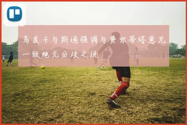 乌度卡与斯通强调与费尔蒂塔意见一致绝无分歧之说