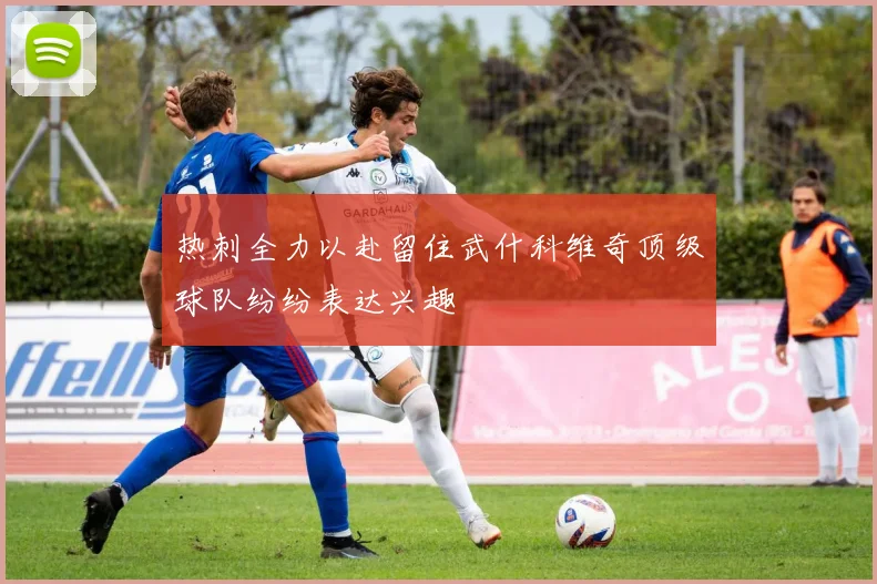 热刺全力以赴留住武什科维奇顶级球队纷纷表达兴趣