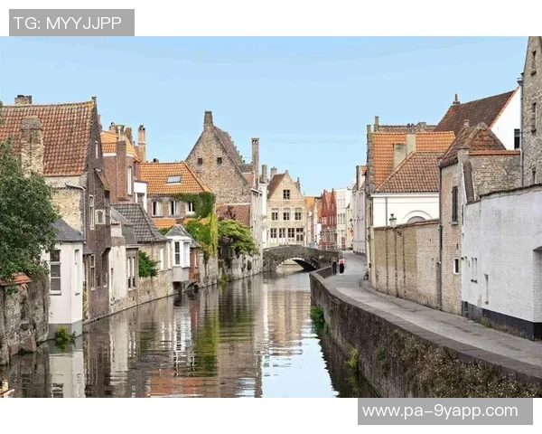 邦纳谈克尼佩尔与弗拉格的合作经历现阶段得分能力显著提升 邦纳谈克尼佩尔与弗拉格的合作经历现阶段得分能力显著提升